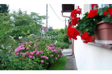 Унгария Privát Balatonboglár, Екстериор